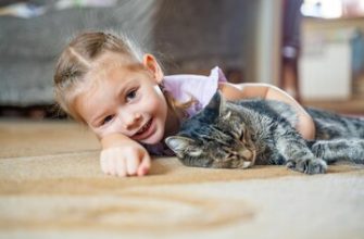 Как и чем лечить лишай на коже и голове у ребенка?